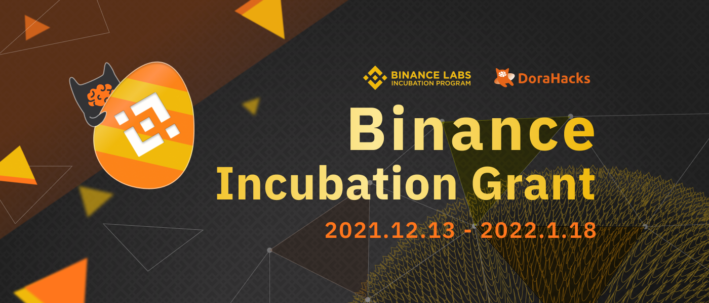 Application Guide: Binance Incubation Grant